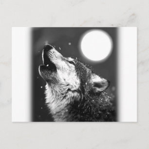 Wolf Howling at Moon Postcard
