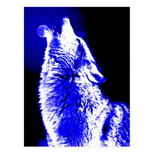 Wolf Howling at Moon Postcard