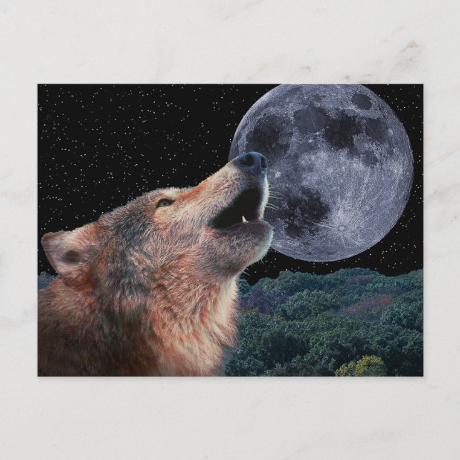 Wolf Howling at the Full Moon - Multi-Products-02 Postcard (Front)