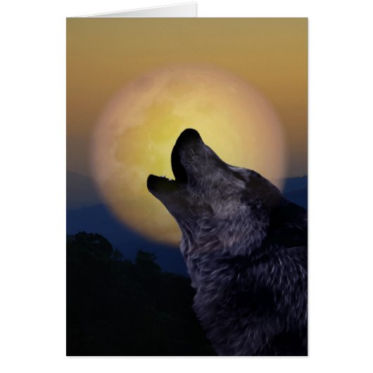 Wolf howling at the moon cards (Front)