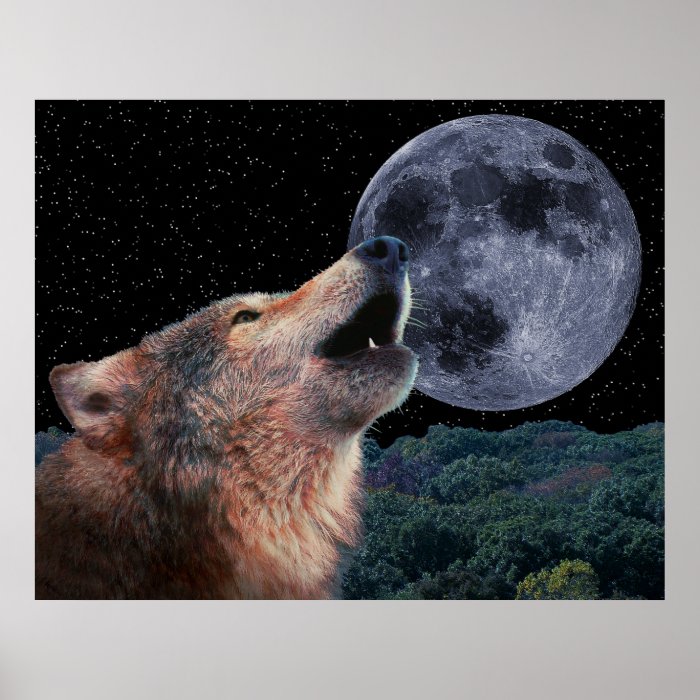 Wolf Howling at the Moon   Poster