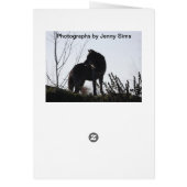 Wolf Howling Cards (Back)