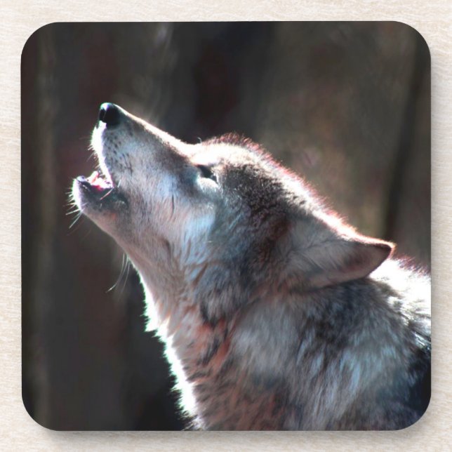 Wolf Howling Lone Wolf Beverage Coaster (Front)