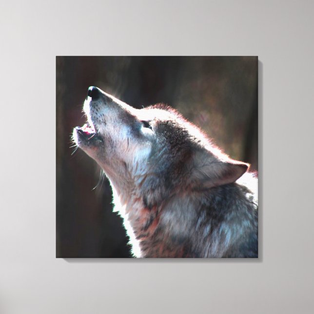 Wolf Howling Lone Wolf Canvas Print (Front)