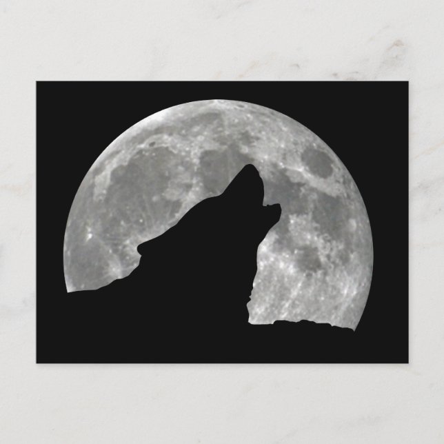 wolf howling postcard (Front)