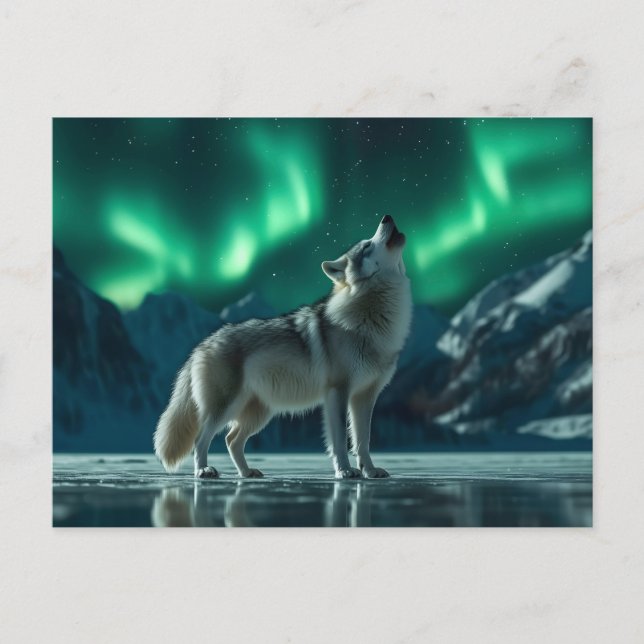 Wolf Howling Under the Northern Lights Postcard (Front)