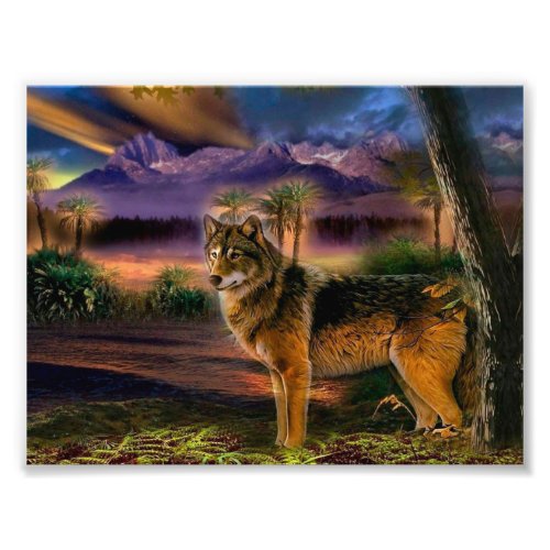 Wolf hunting in mountain photo print