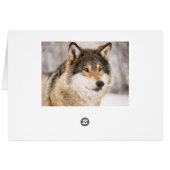 Wolf in a winter forest cards (Back Horizontal)