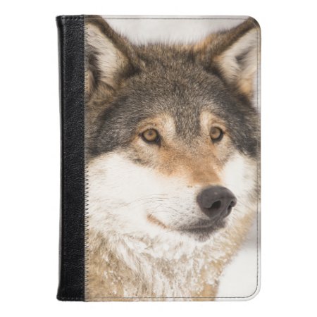Wolf In A Winter Forest Kindle Fire Case
