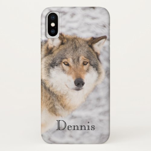 Wolf in a winter forest looking at you iPhone x case
