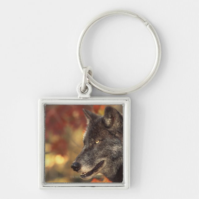 Wolf in Autumn Keychain (Front)