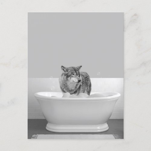 Wolf in Bathtub Bubble bath  Postcard