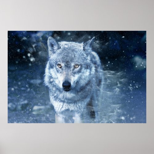 Wolf in blizzard poster