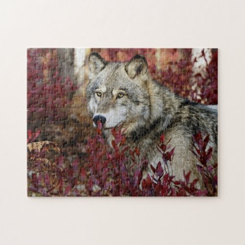 Wolf In Fall Foliage Jigsaw Puzzle