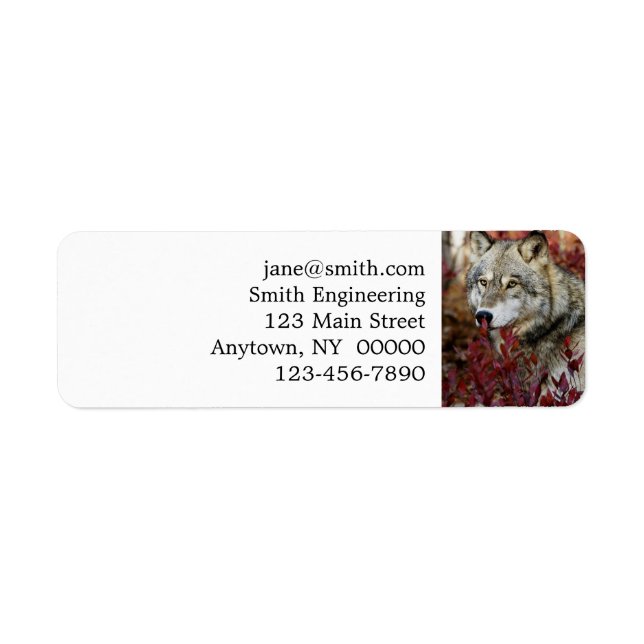 Wolf In Fall Foliage Label (Front)
