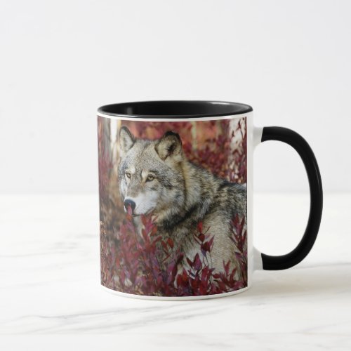 Wolf In Fall Foliage Mug