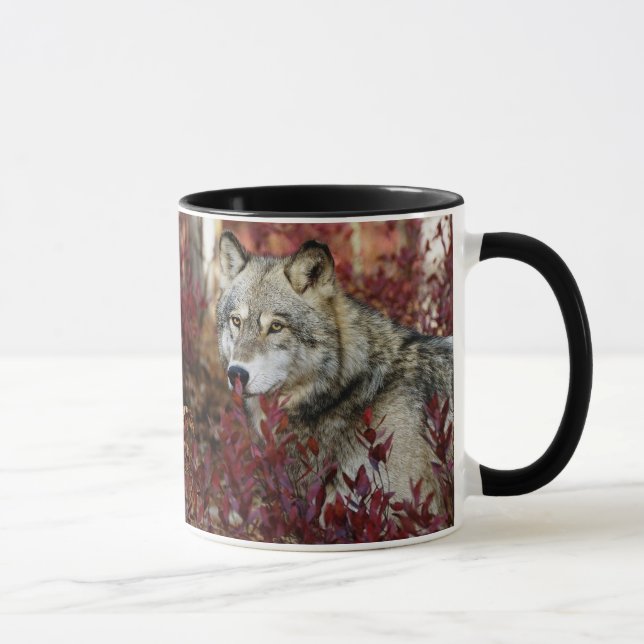Wolf In Fall Foliage Mug (Right)