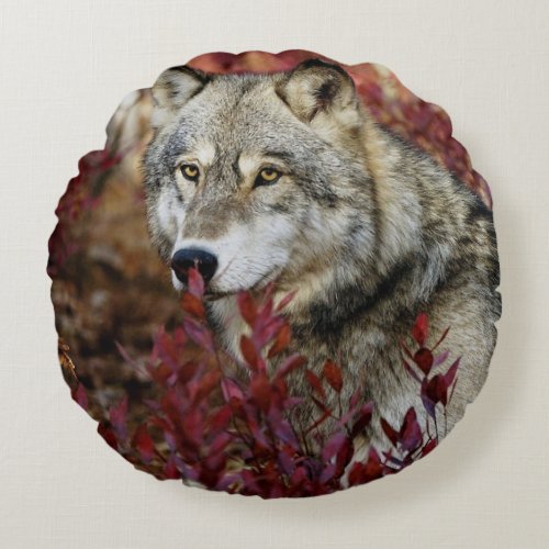 Wolf In Fall Foliage Round Pillow