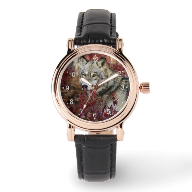 Wolf In Fall Foliage Watch (Front)