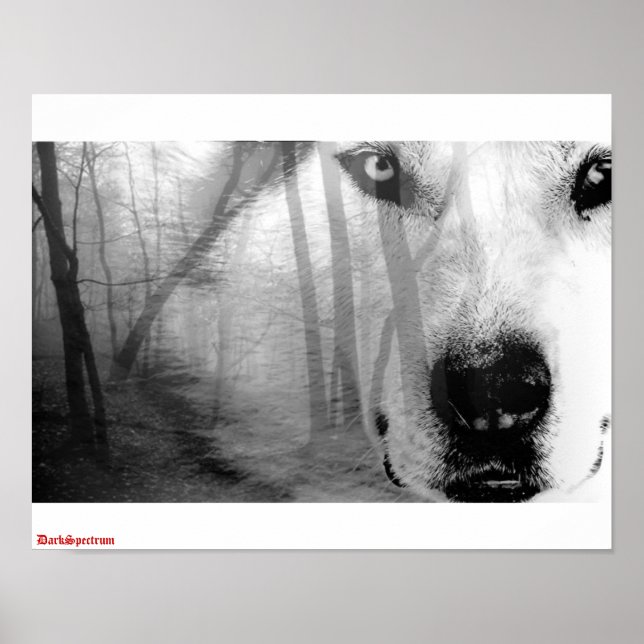 Wolf in Forest Poster   DarkSpectrum original (Front)