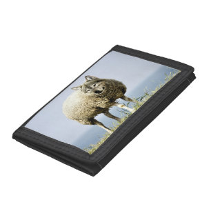 Wolf in Sheep Clothing Tri-fold Wallet
