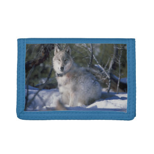 Wolf In Snow Tri-fold Wallet