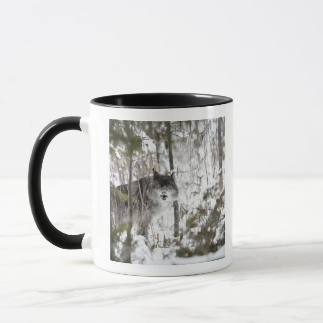 Wolf In The Forest In Winter Mug (Left)