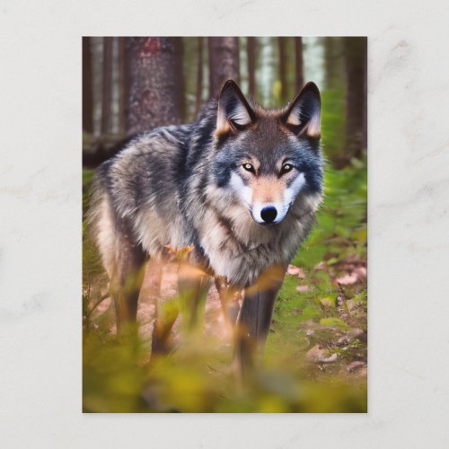 Wolf in the Forest Postcard