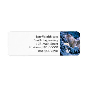 Wolf in the winter forest painting label