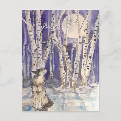 Wolf in Winter Postcard