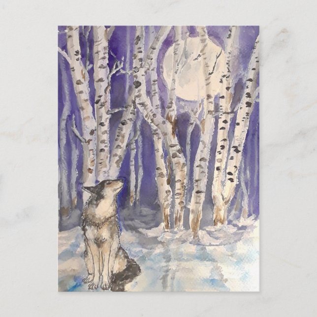 Wolf in Winter Postcard (Front)