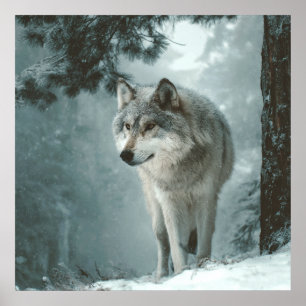 Wolf in Winter Poster