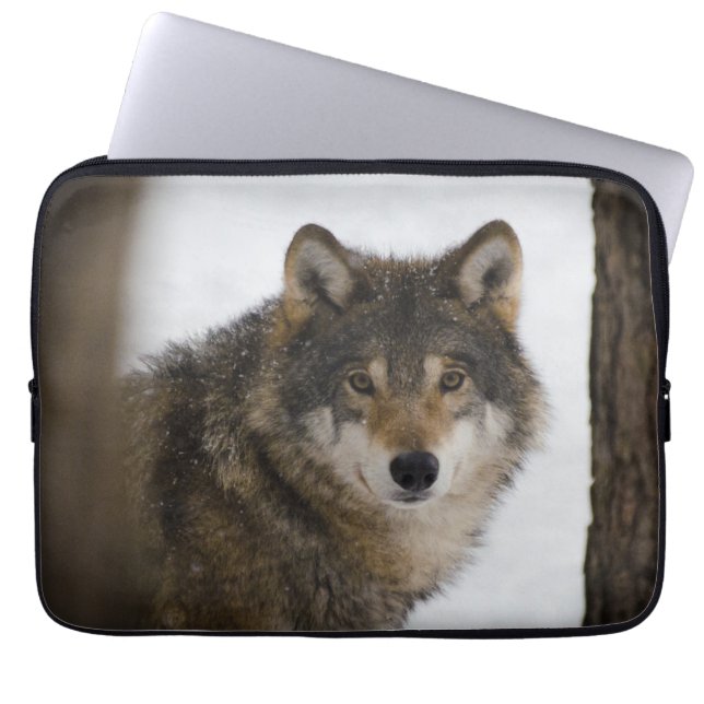 Wolf In Woods Electronics Bag (Front)