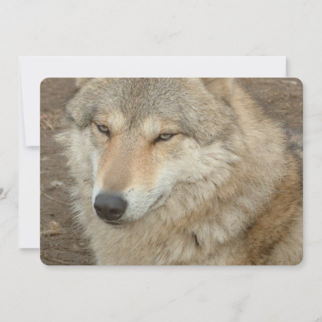Wolf Invitation (Front)