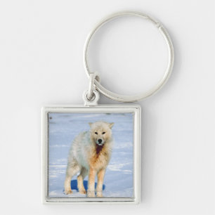 Wolf Keychain