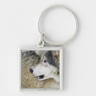 Wolf Keychain