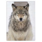 Wolf Love