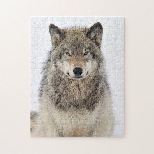 Wolf Love Jigsaw Puzzle