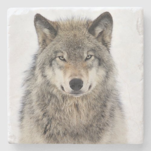 Wolf Love Stone Coaster