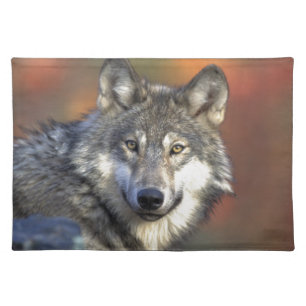 Wolf Lovers Art Cloth Placemat