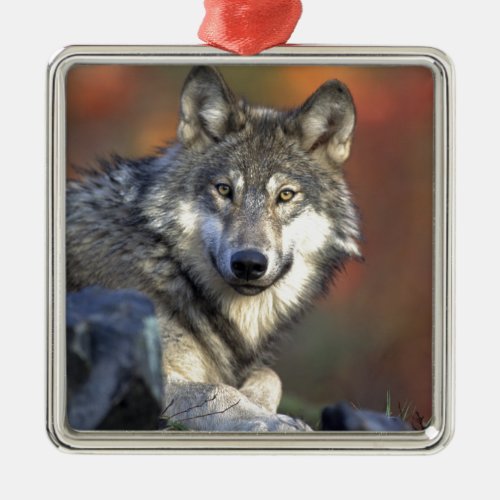 Wolf Lovers Art Metal Ornament