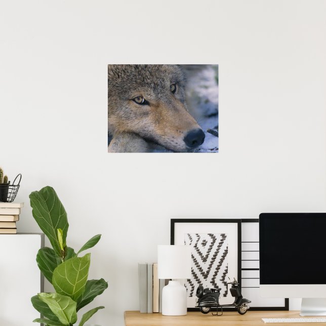 Wolf Lovers Art Poster (Home Office)