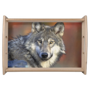 Wolf Lovers Art Serving Tray