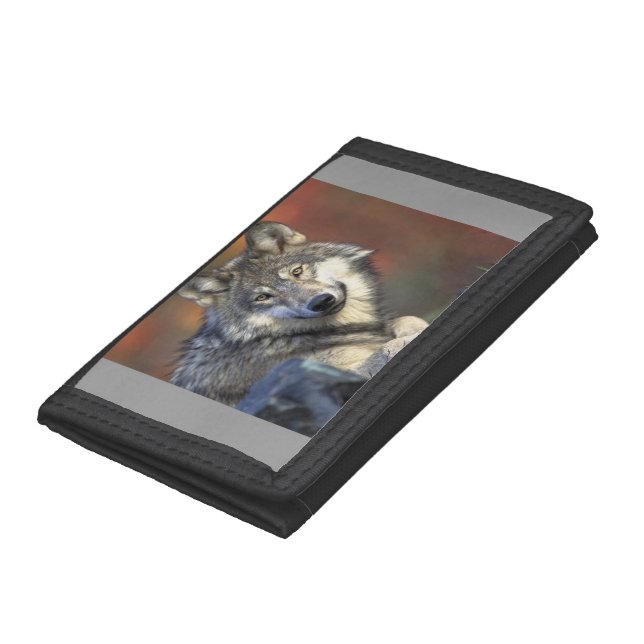Wolf Lovers Art Tri-fold Wallet (Bottom)