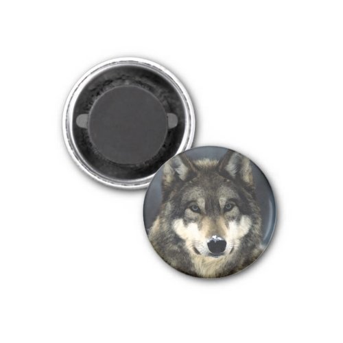 Wolf Magnet