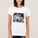 Wolf Malamute Picture Long Sleeve T-Shirt
