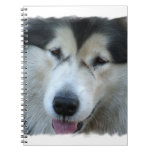 Wolf Malamute Picture Notebook