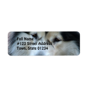Wolf Malamute Return Address Label