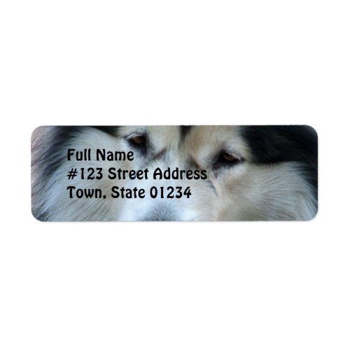 Wolf Malamute Return Address Label