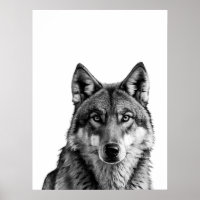 Wolf Modern Portrait black white